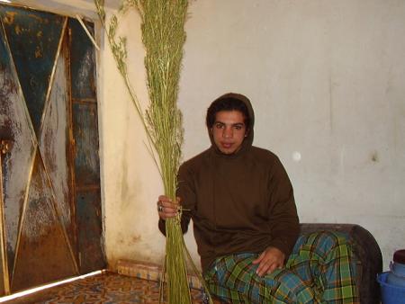 mazala   waldi mazalhadi hi labdaya
