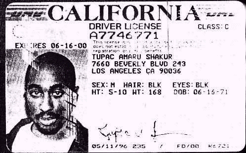 california   albilad l machoma