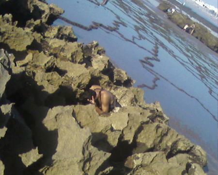 warah