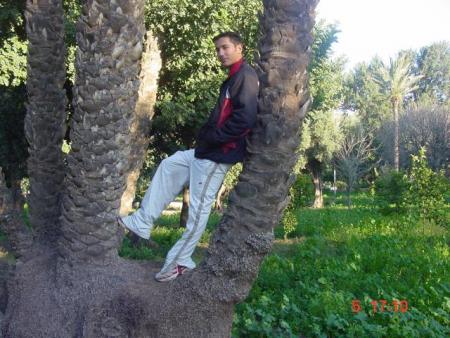 a marrakech